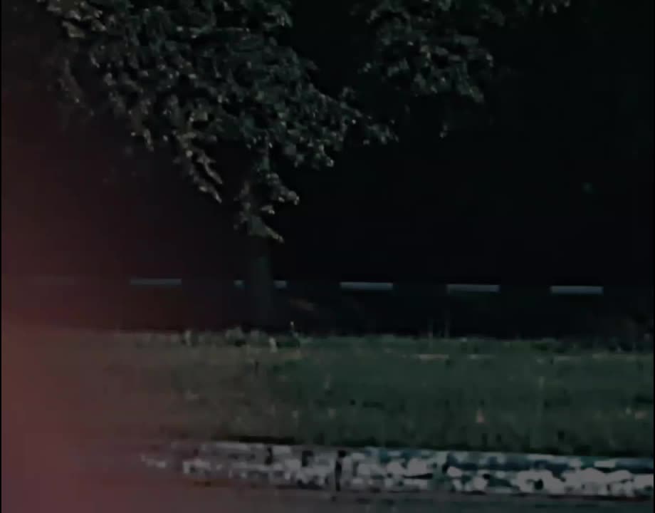 @🥷ᏢᎪᏚᎻᎪ ᏢᎬᏞ🥷