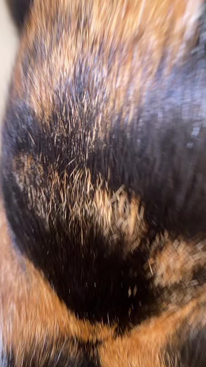 @Nunini💕