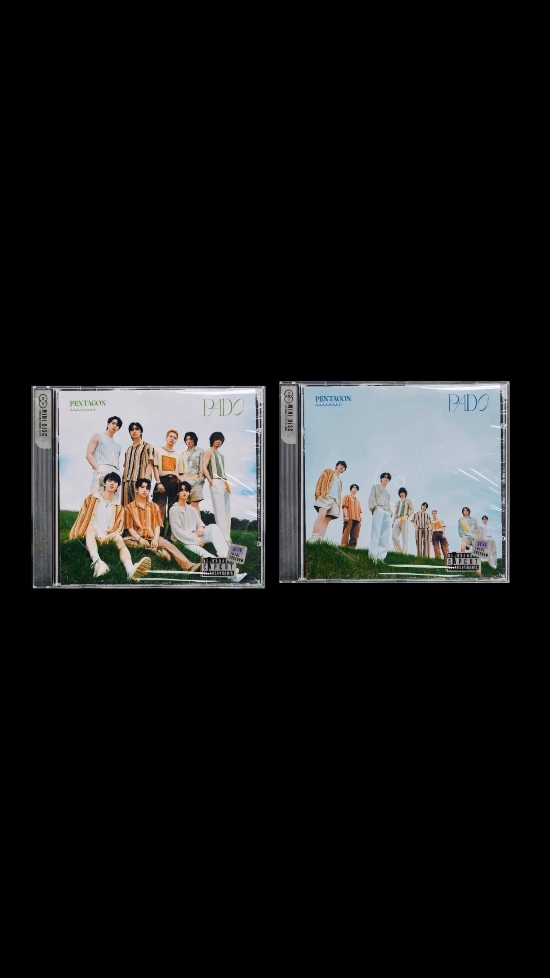 @dizzy ⬠
