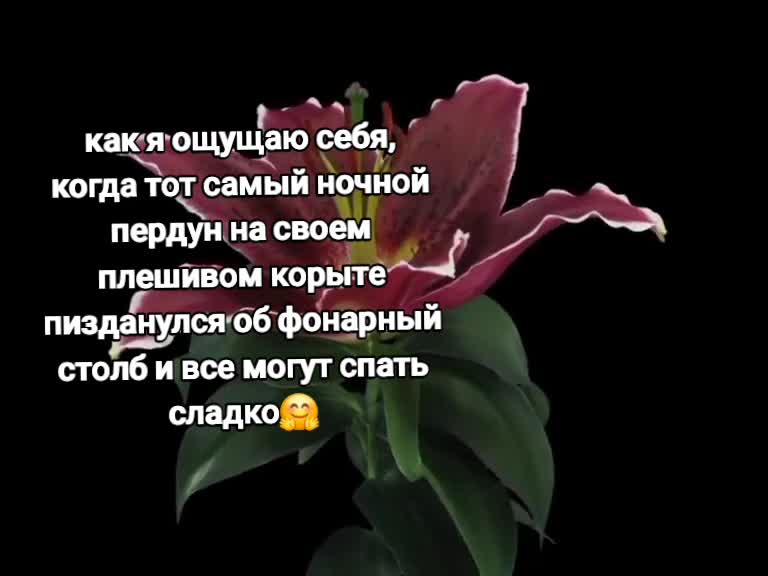 @Постирония от Артёмки 😉