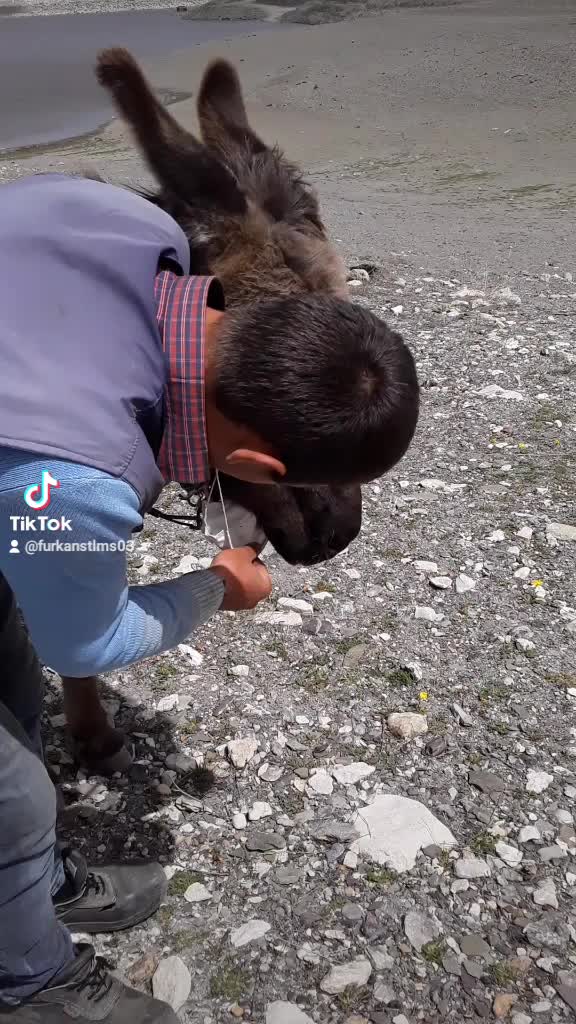 @Furkan STLMŞ 03