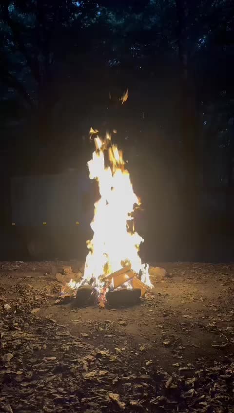 @🦂akrep kadını🦂