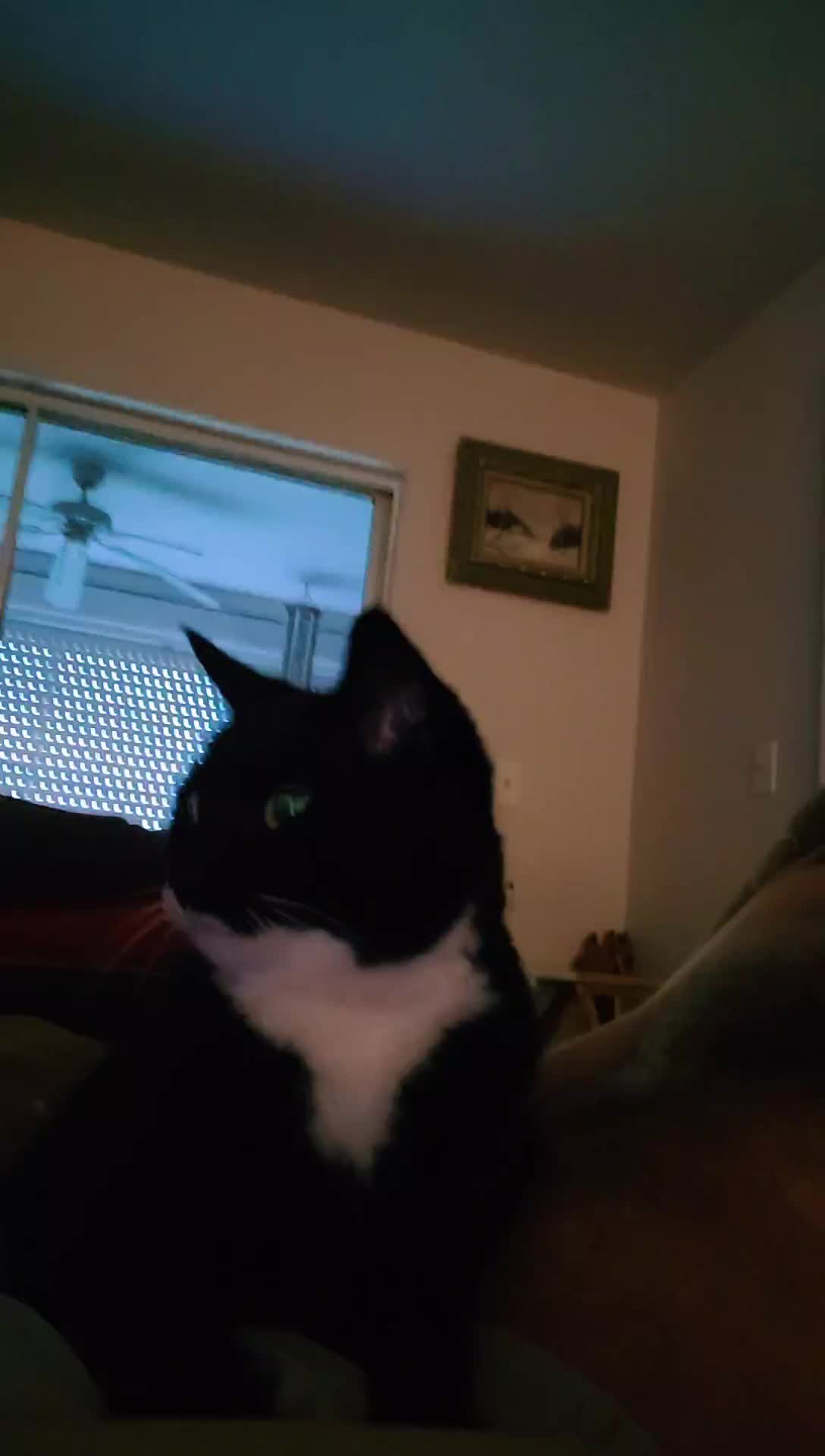 @MrPickles
