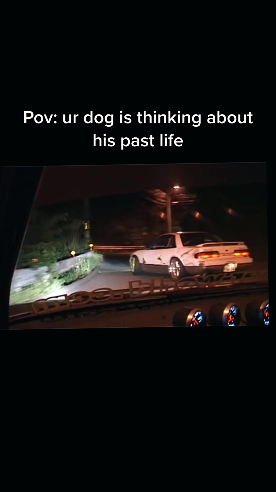 @Shitfuckit