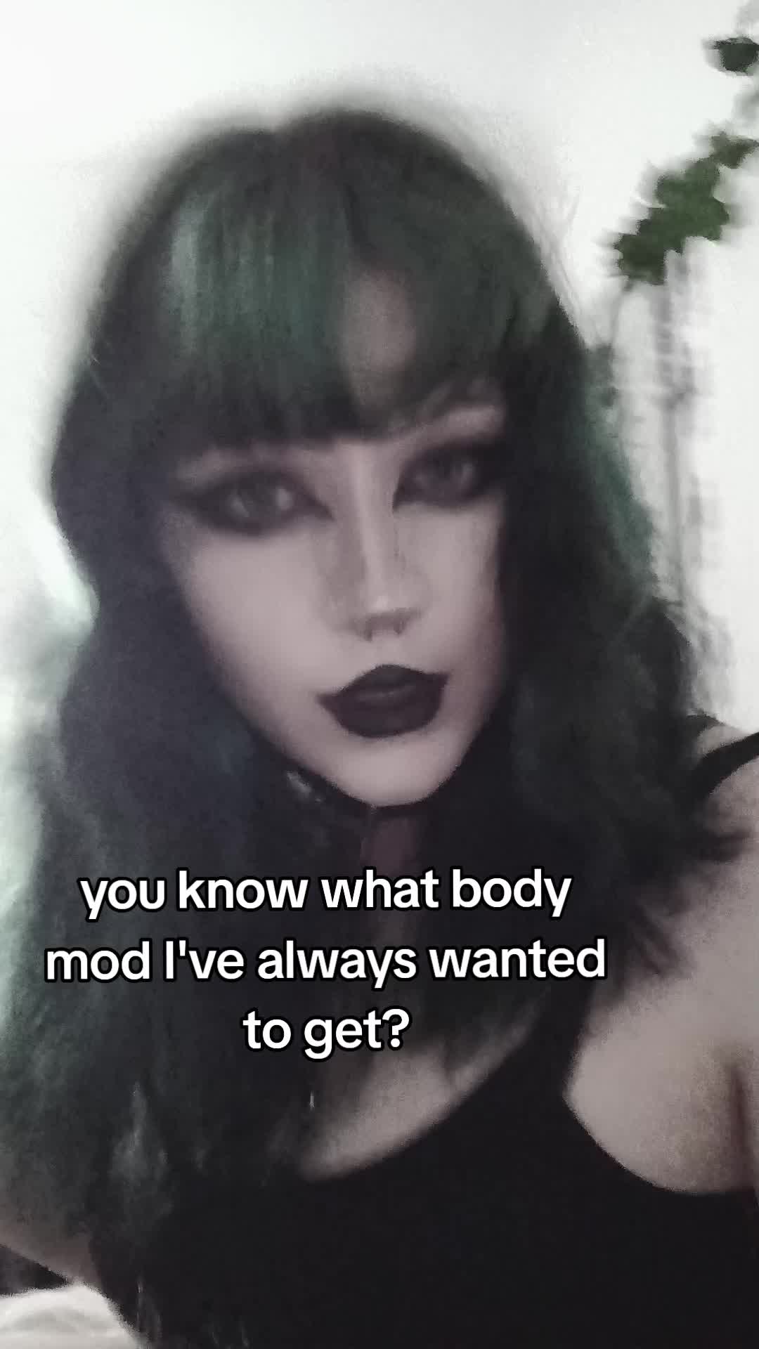 @˖ ࣪🦇☥𝖒𝖆𝖝☥🦇 ݁ ˖ִ