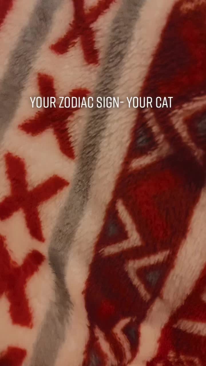 @Zodiac Signs