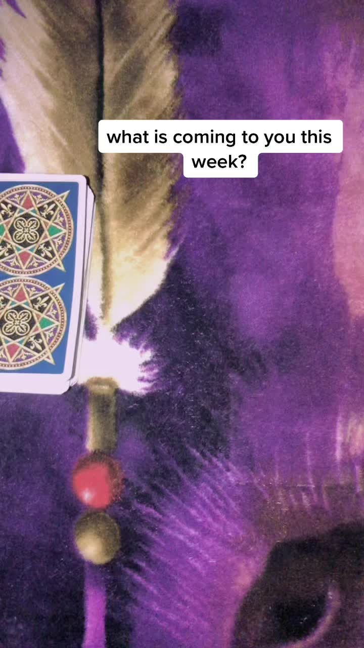 @Taylor K.