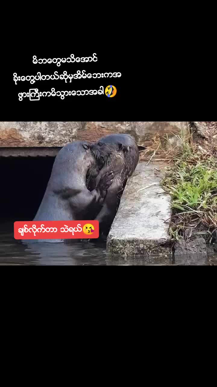 @@kojim🤡🤡