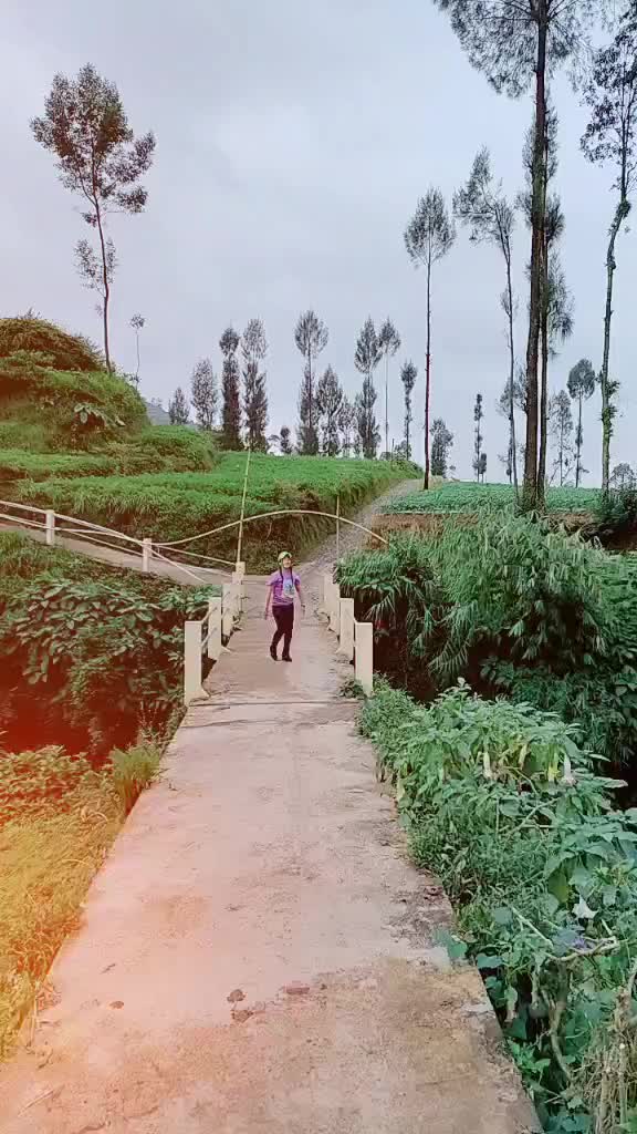 @mukesh kumar