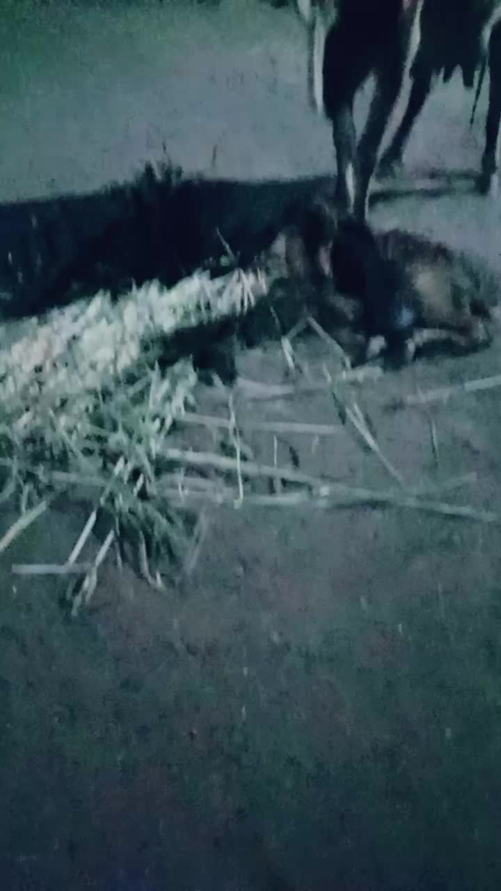 @❤️❤️❤️