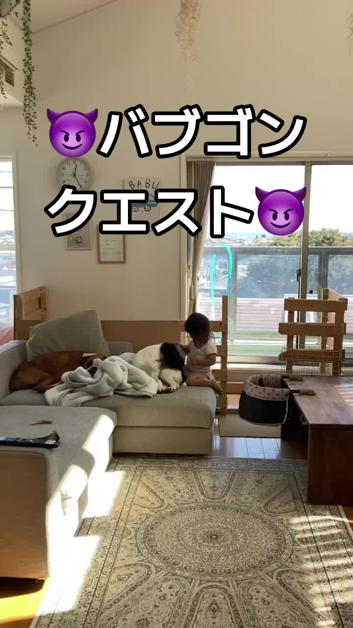 @進撃のバブ子🍉