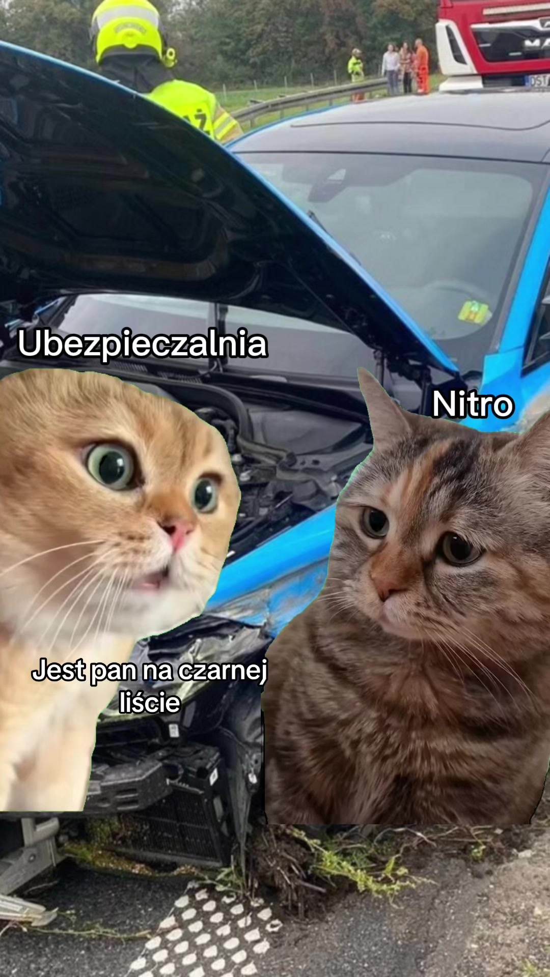 @TheNitroZyniak