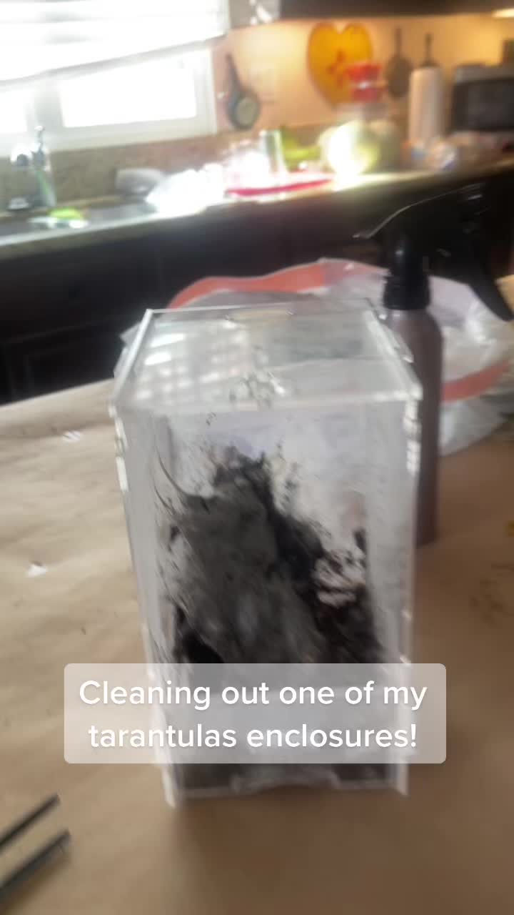 @jonmikeromeo23