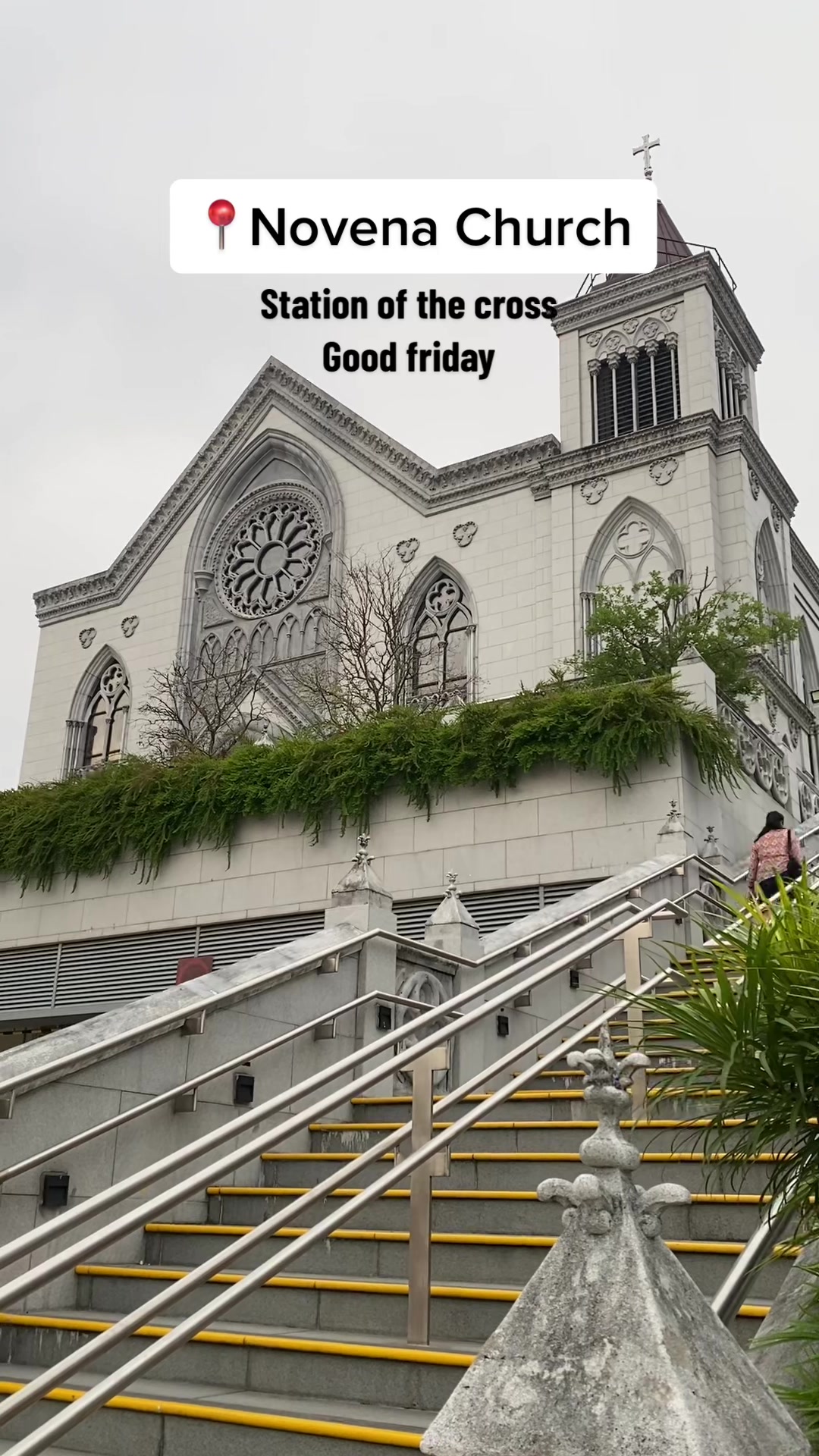 @🪷🌷Dvn 🇵🇭🇸🇬✨