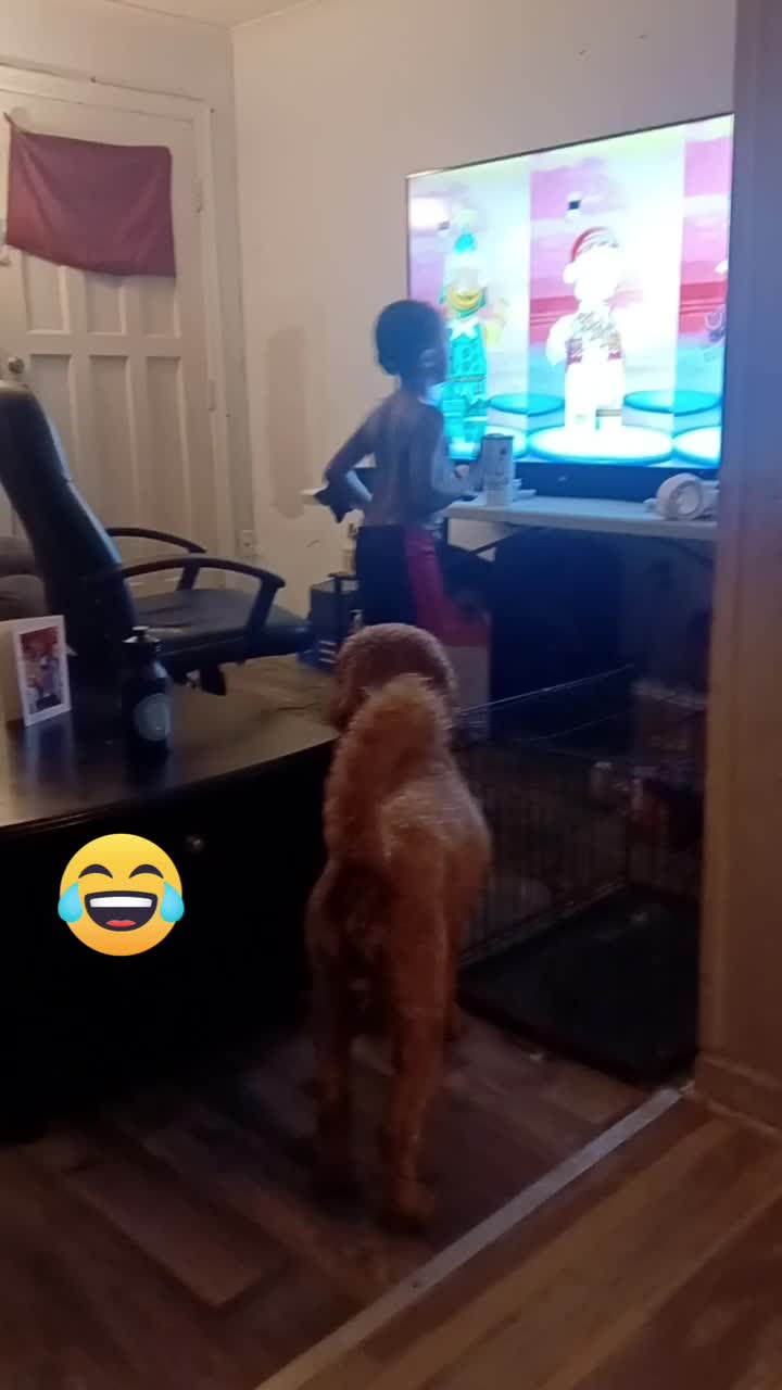 @marquesstrother1