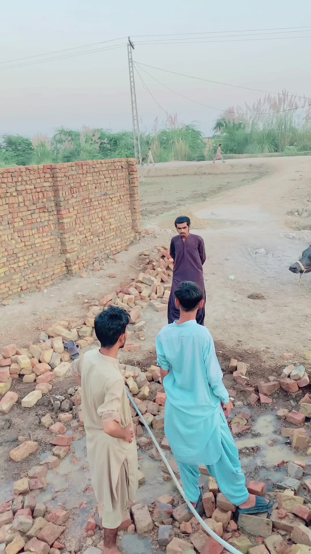 @comedy_gang.1.2