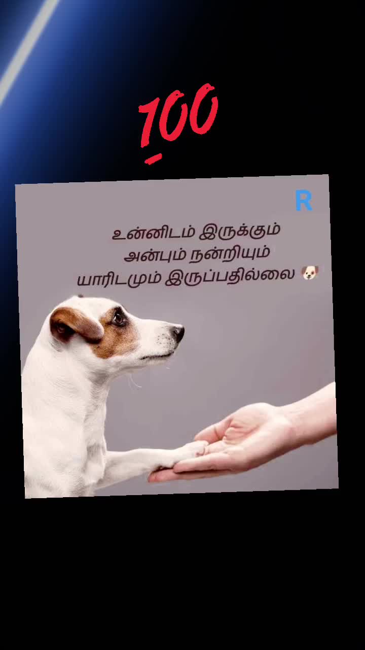 @🥀SR Shitra🥀
