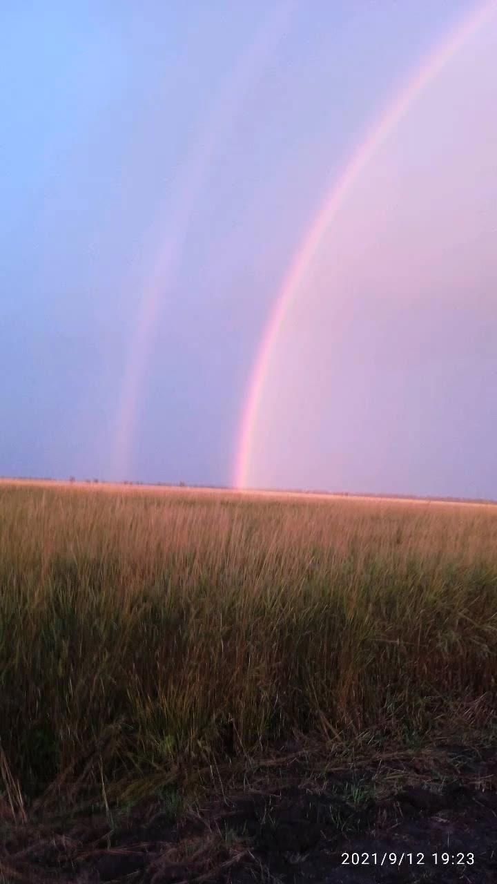 @одинокий волк