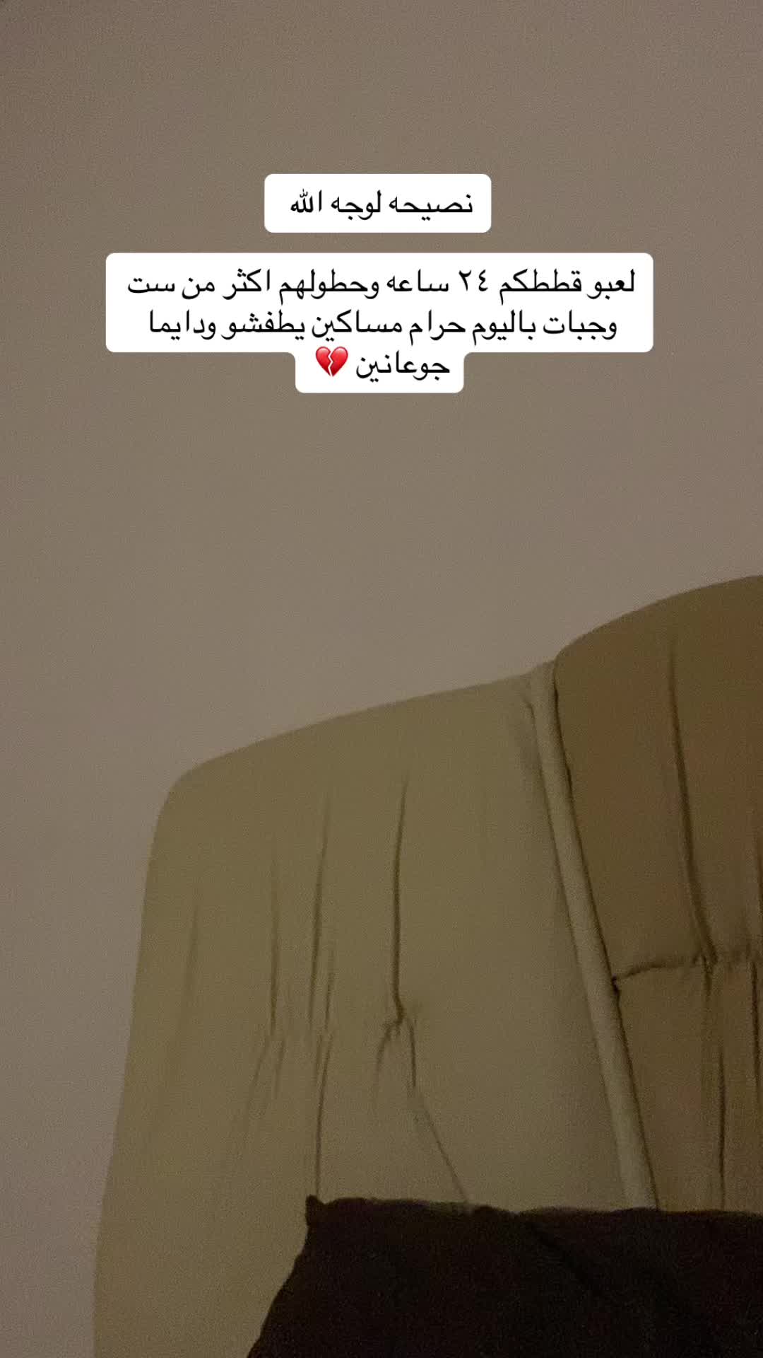 @Yunameow7
