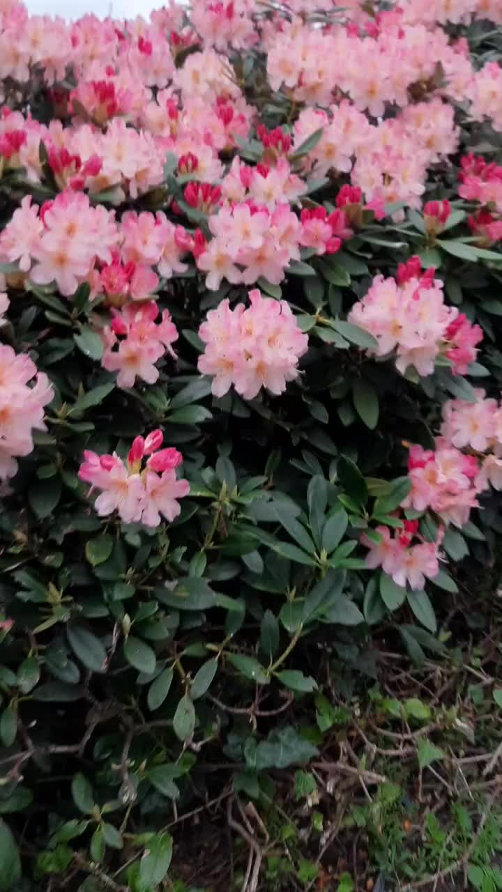 @๐๐