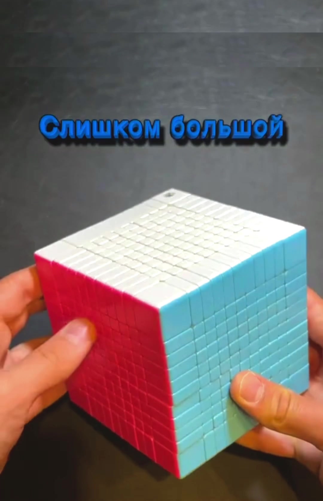 @Лев