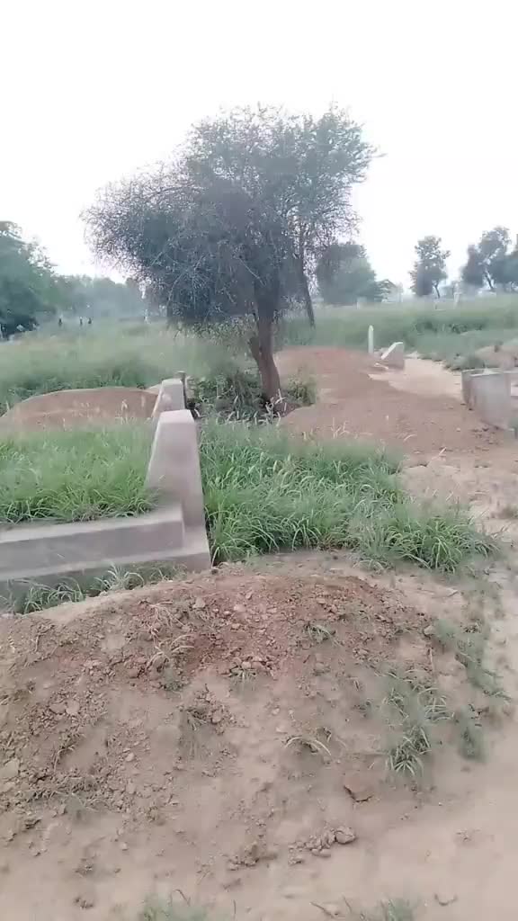 @AR Malik 🚩😎💀
