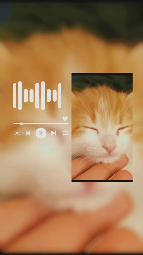 @Elif Selvi Yıldırım