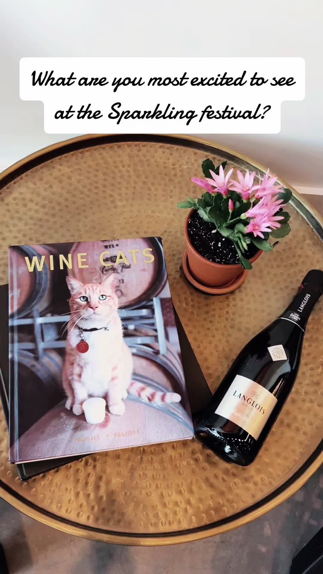 @LittleWineShoppe