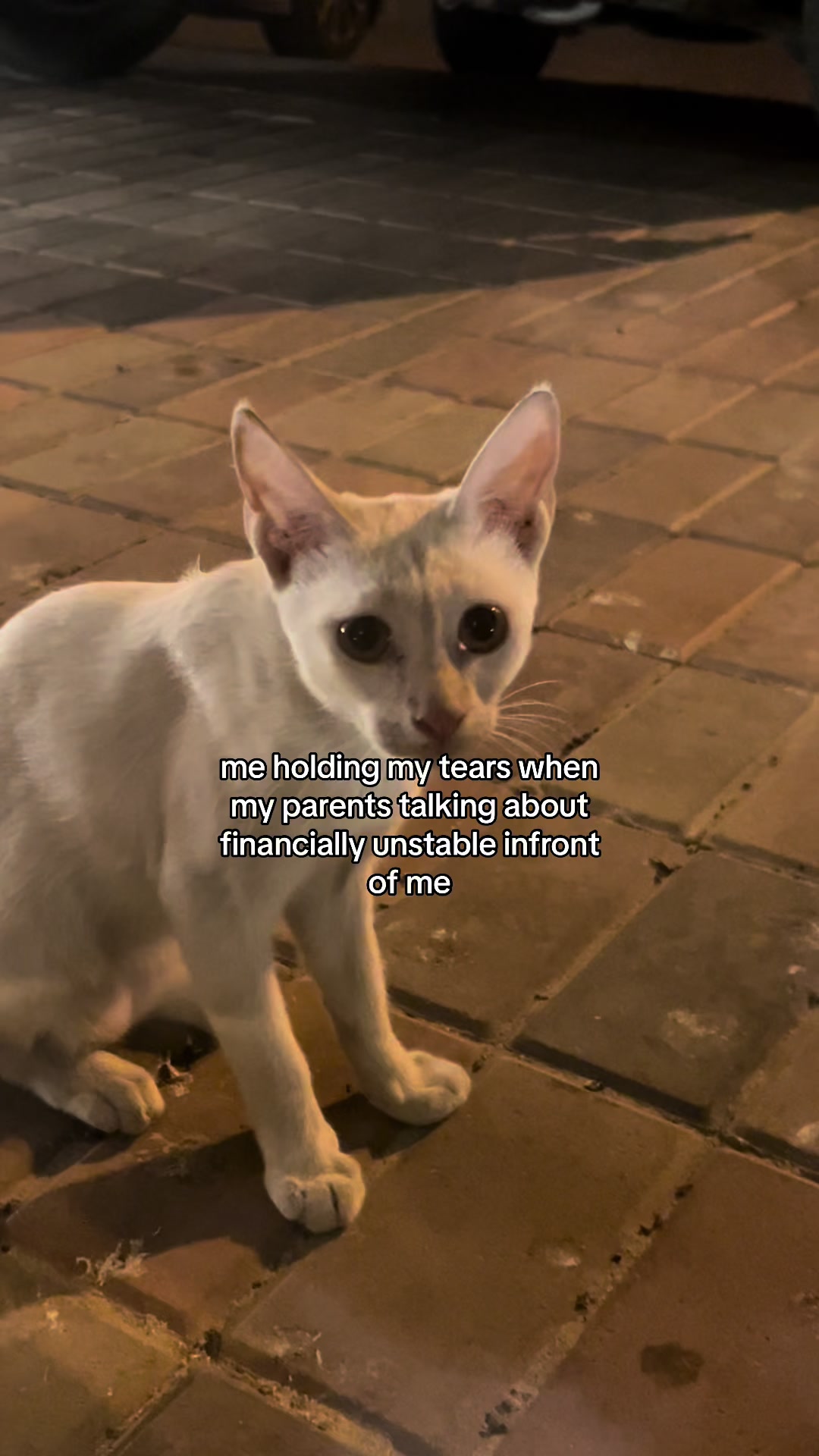 @introvert_🫥