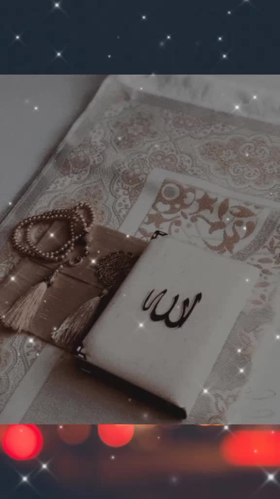 @Noor Aldeen391