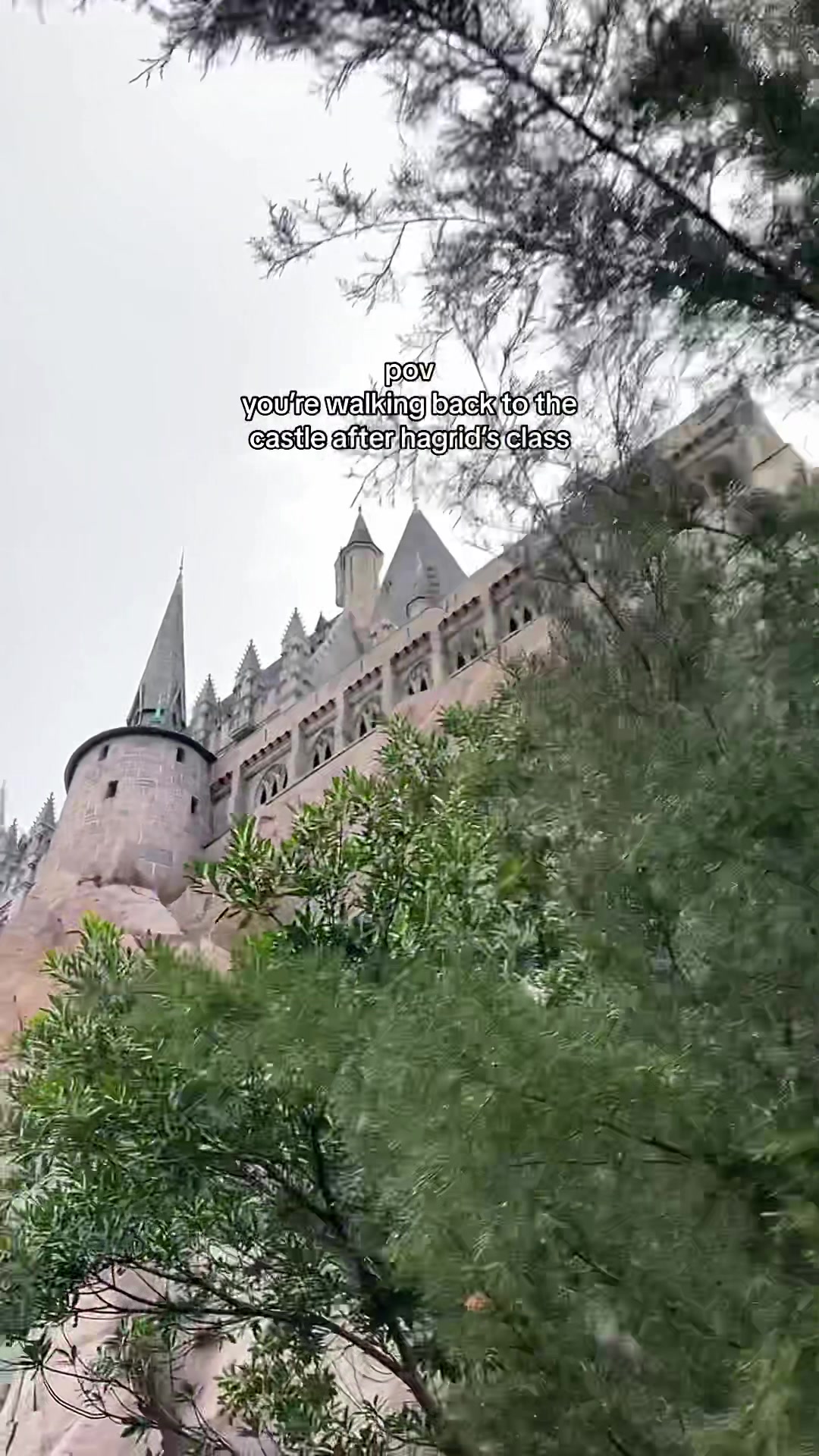 @⚯͛▕⃝⃤ POV Wizarding World