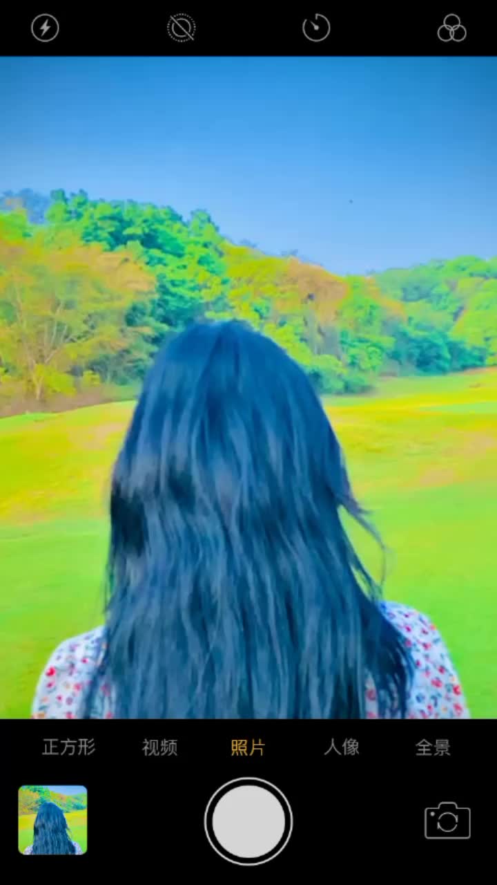 @🌷