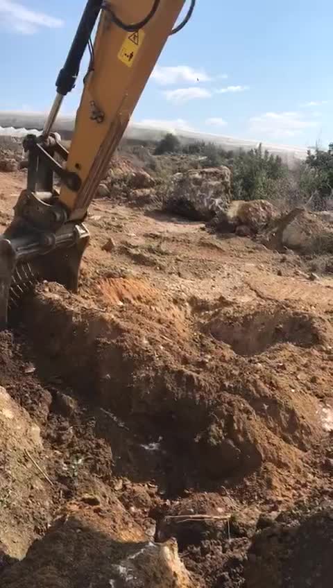 @MEHMET ÇİÇEK