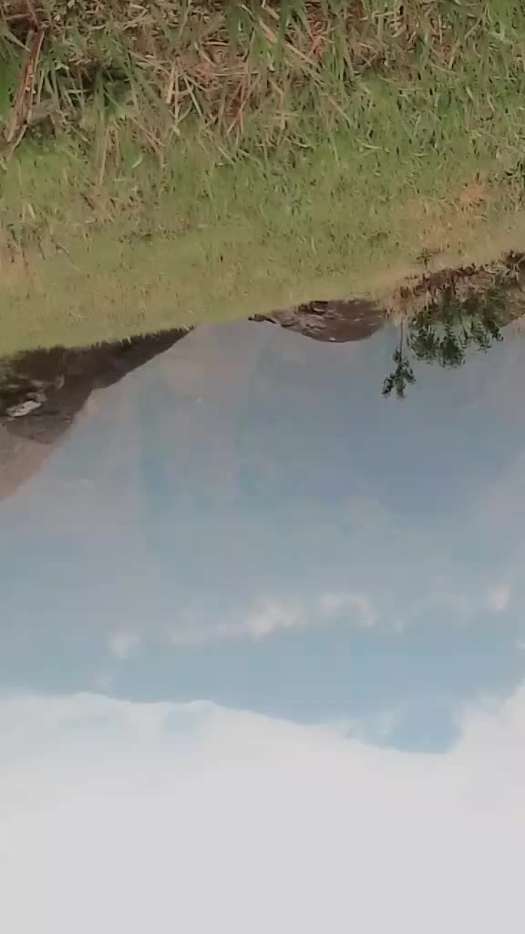 @kalpana sahahi thakuri