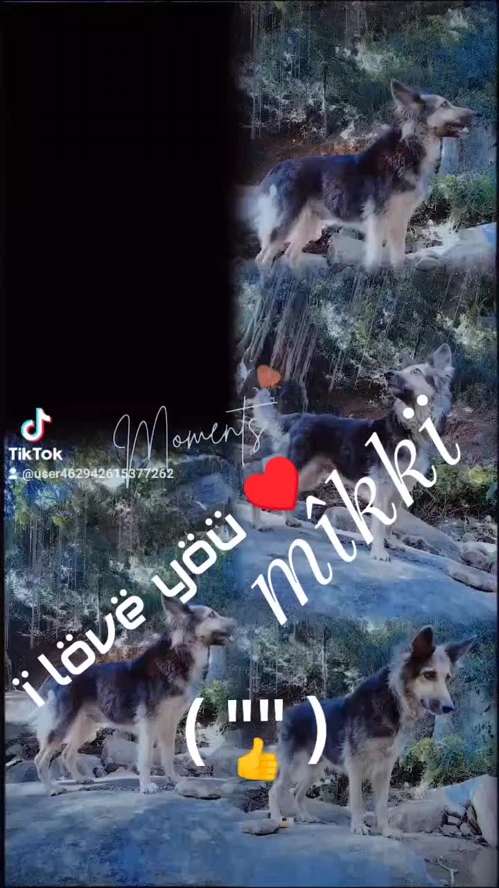 @@ shan ''24 ❤️
