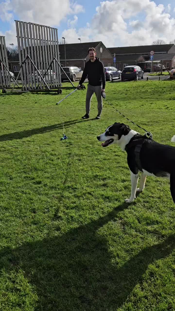 @Paw By Paw Dog Training