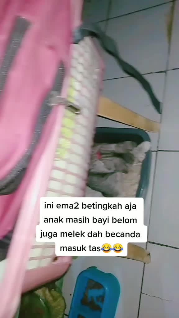 @beby all