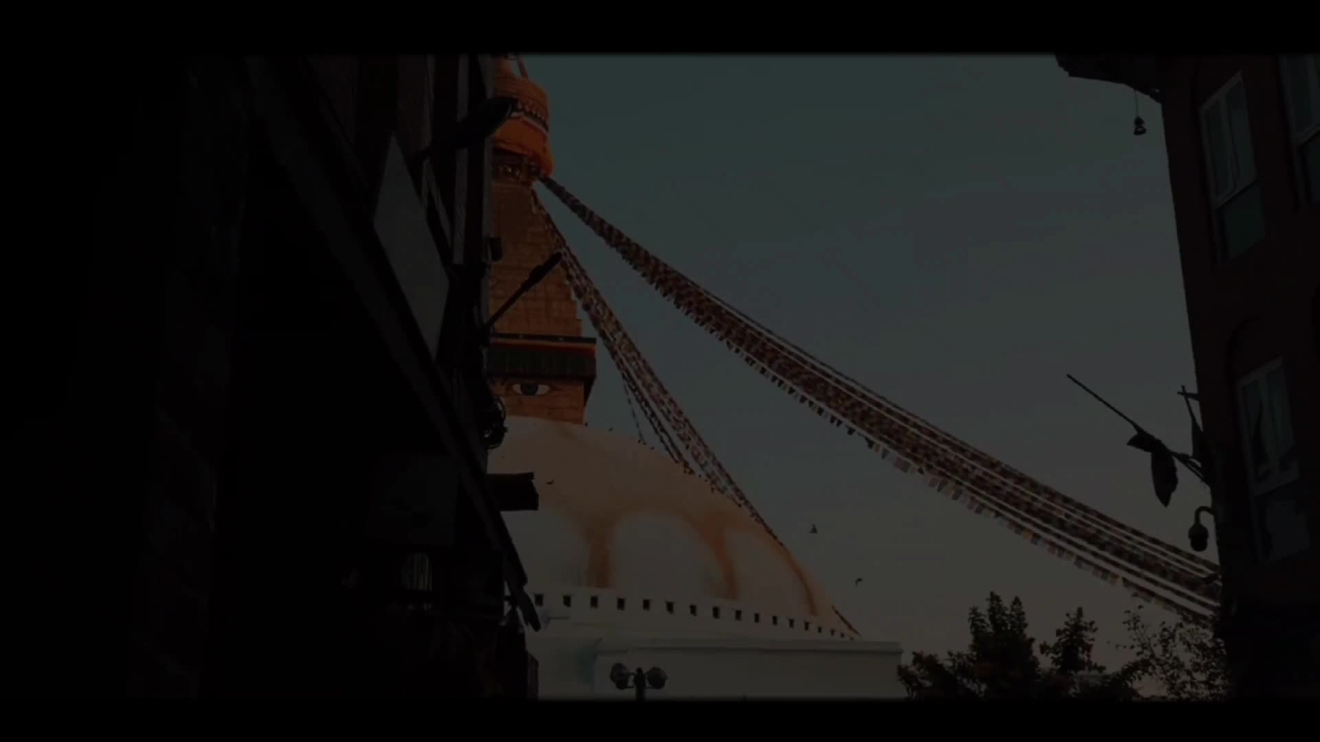 @N X D A