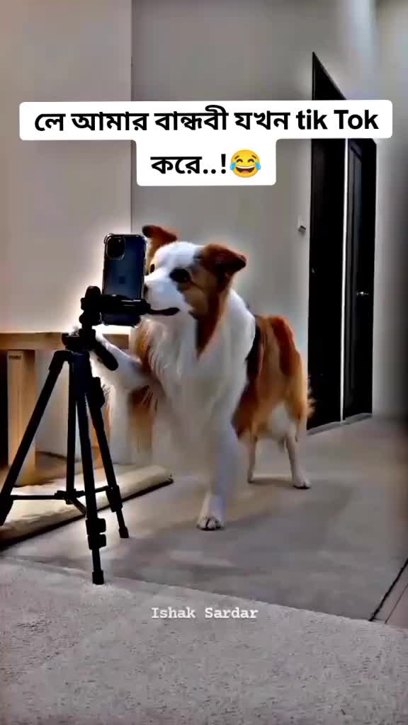 @বিবাহিত ব্যাচেলার 🫣