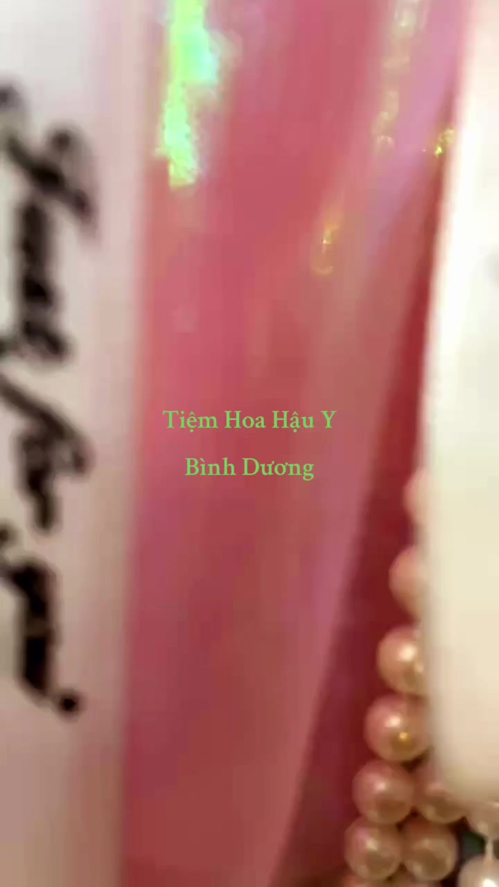 @Chú Hậu Tiệm Hoa Bình Dương