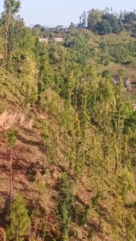 @pyar ka diwana