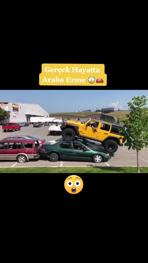 @ANIMASYON DİYARI