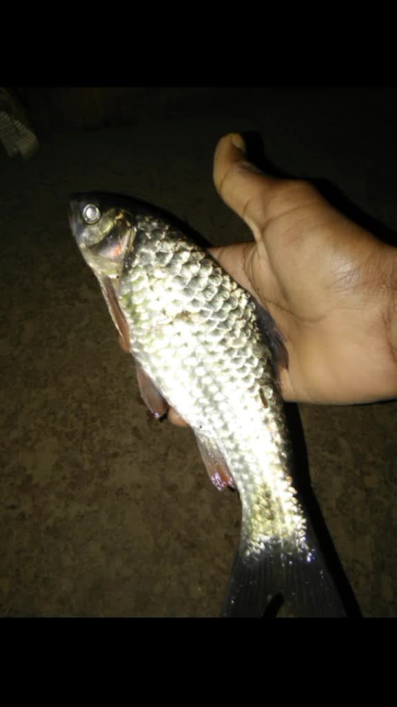 @uservishalpawar123