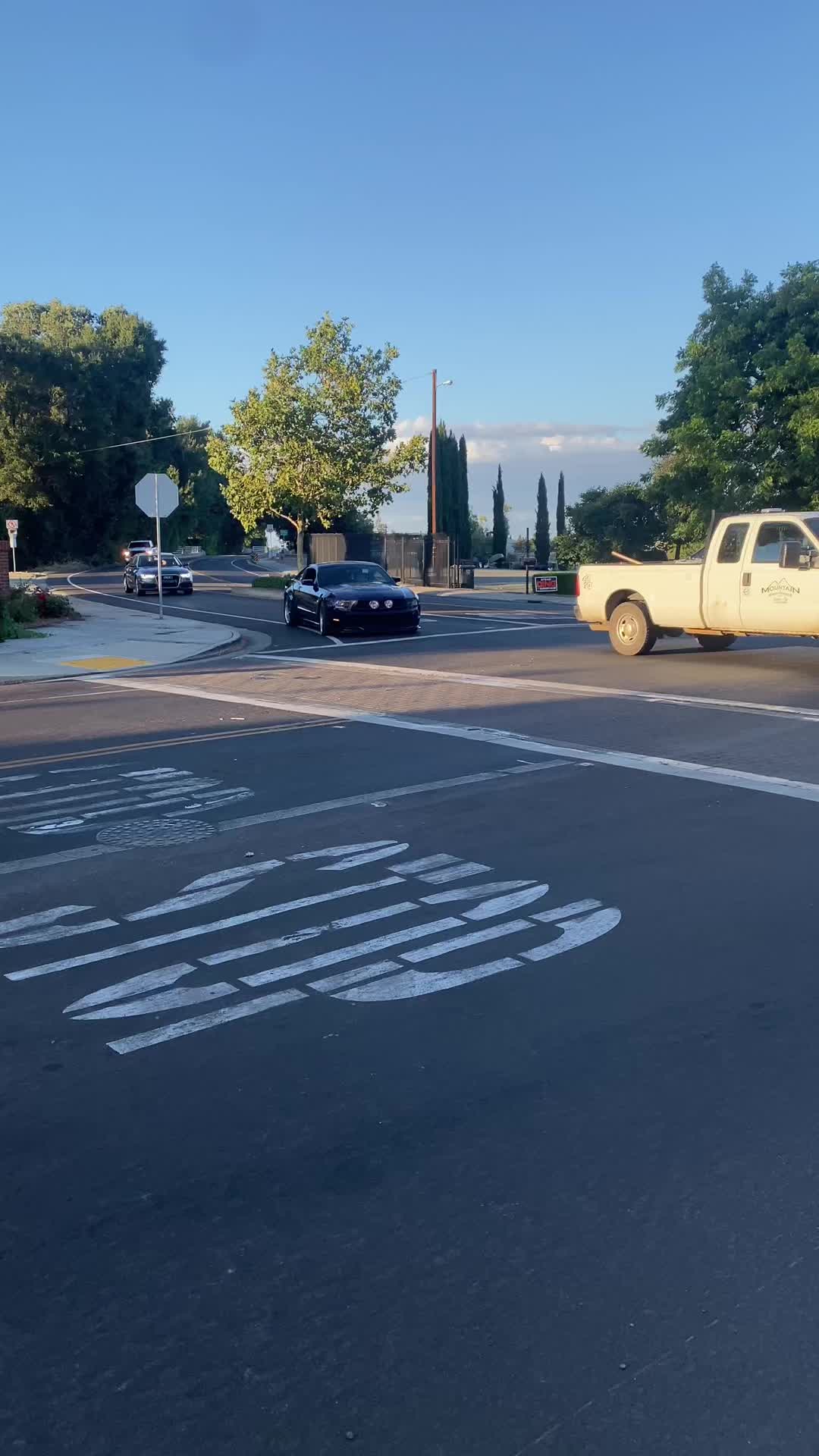 @209_cars
