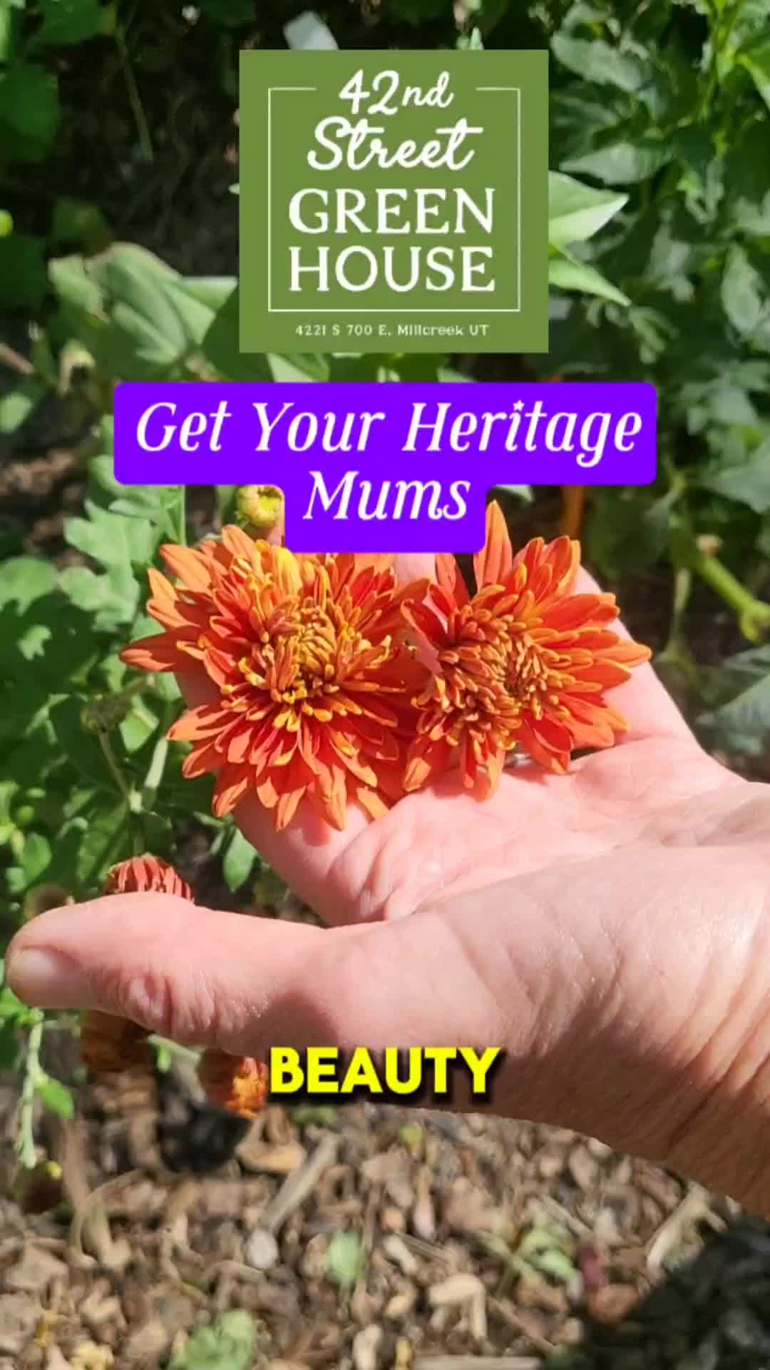 @perfumepunk