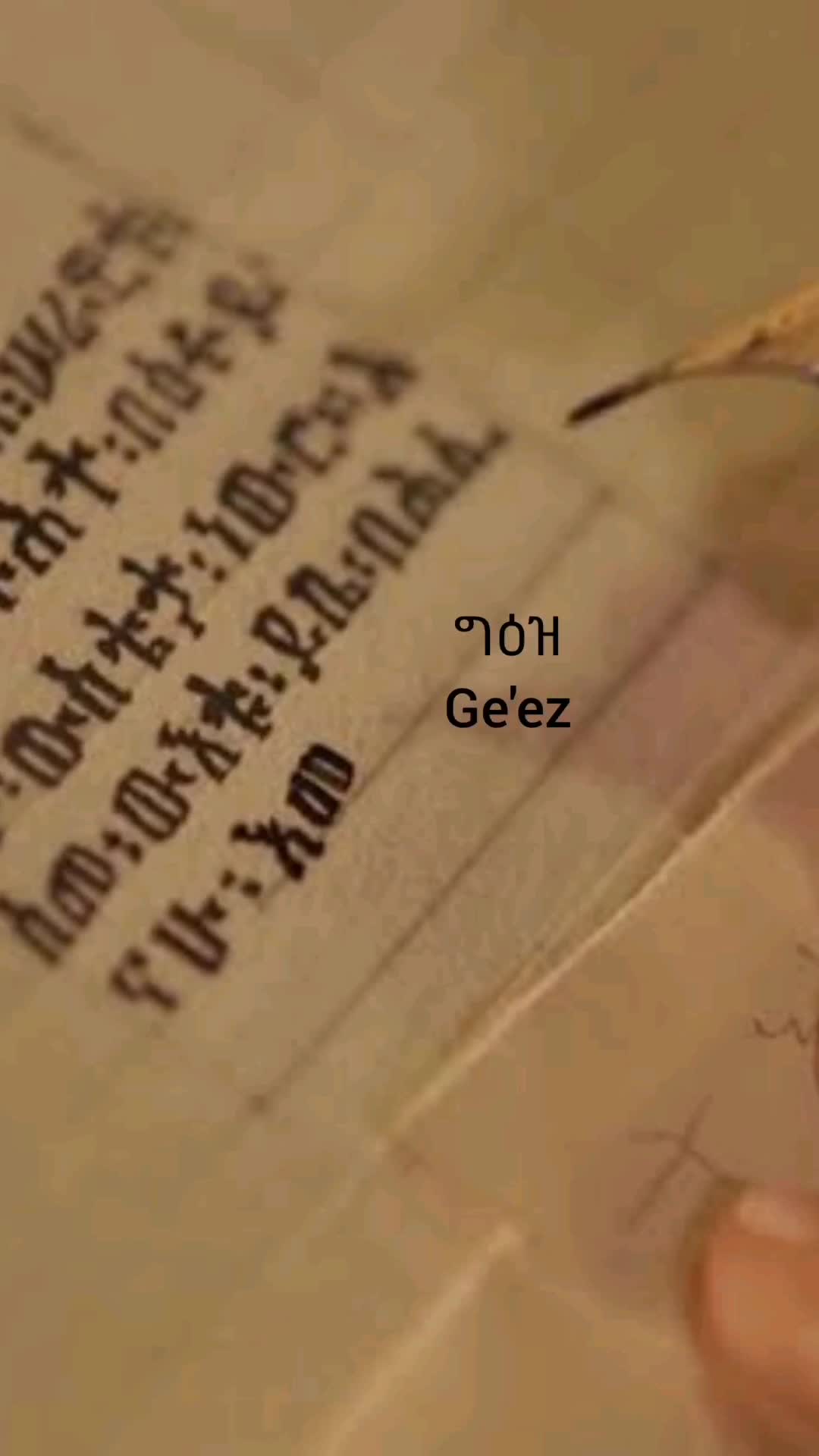 @Tarik History