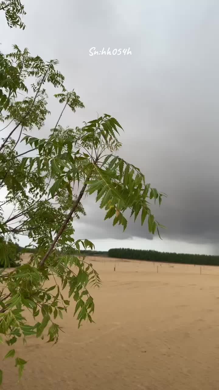 @ابو تالا