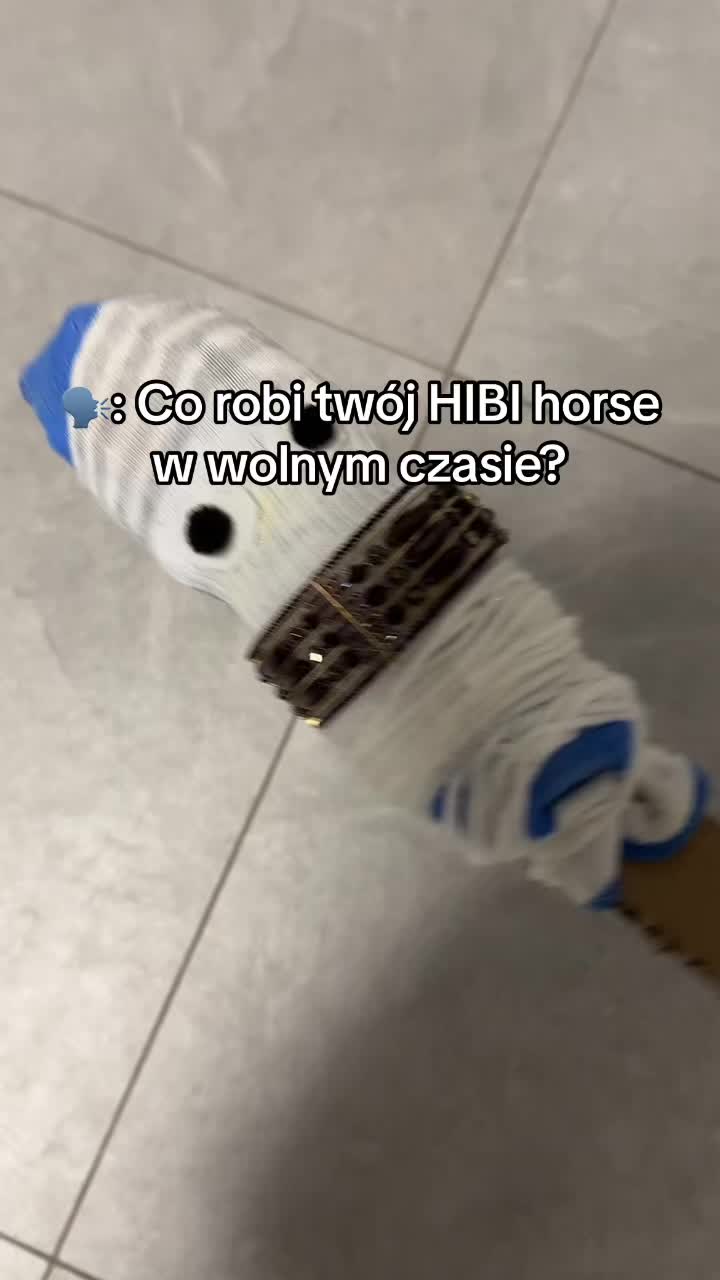 @Hibbi.horse 🐴