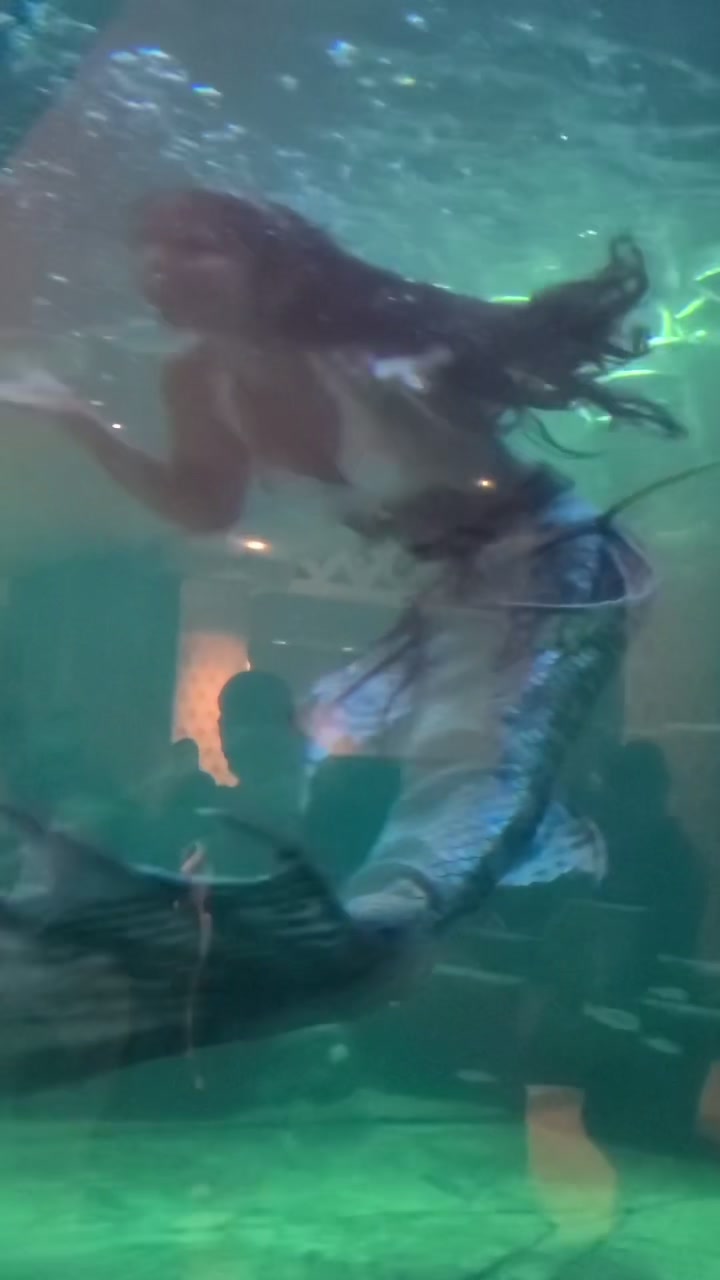 @Moon Mermaid ๐