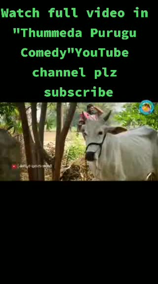 @KishanNunugonda